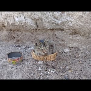 Meet your Posher, Salvador